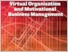 [thumbnail of virtual_organisation14.pdf]
