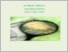 [thumbnail of A-TNiMPuMOP%27 1.pdf]